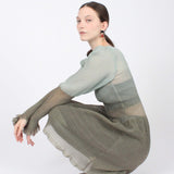 Sheer Gradient Dress