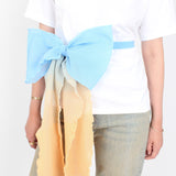 Gradient Grand Bow